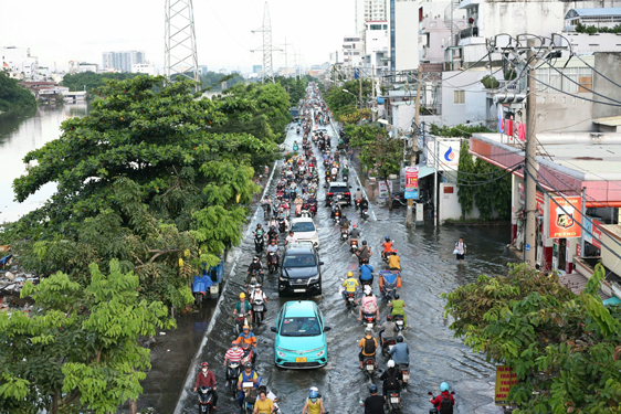 Giảm tổn thất trong m&ugrave;a mưa - Ảnh 1.