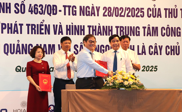 THACO quyết đưa sâm Ngọc Linh lên tầm cao - Ảnh 2.