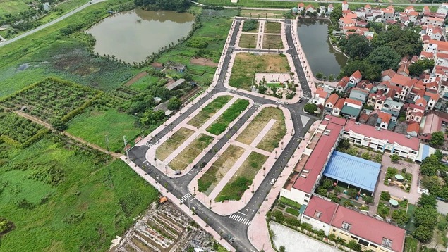 Thường trực Ch&iacute;nh phủ y&ecirc;u cầu xử l&yacute; nghi&ecirc;m h&agrave;nh vi đầu cơ, thổi gi&aacute;, tạo sốt ảo bất động sản - Ảnh 1.