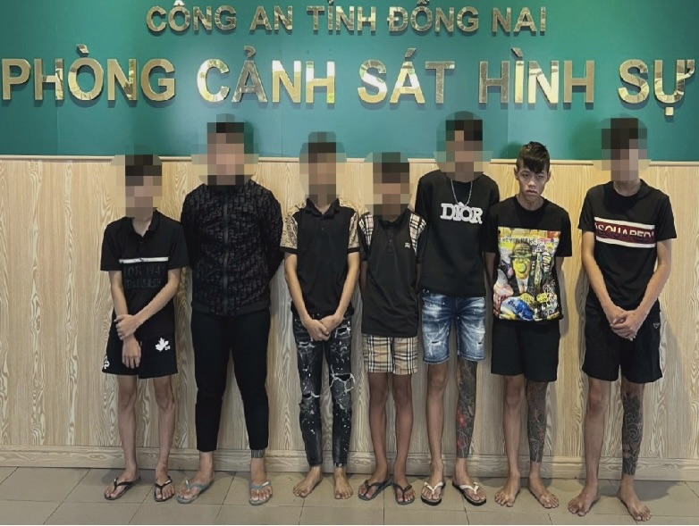 Bắt nh&oacute;m thanh ni&ecirc;n ch&eacute;m người ở Đồng Nai- Ảnh 1.
