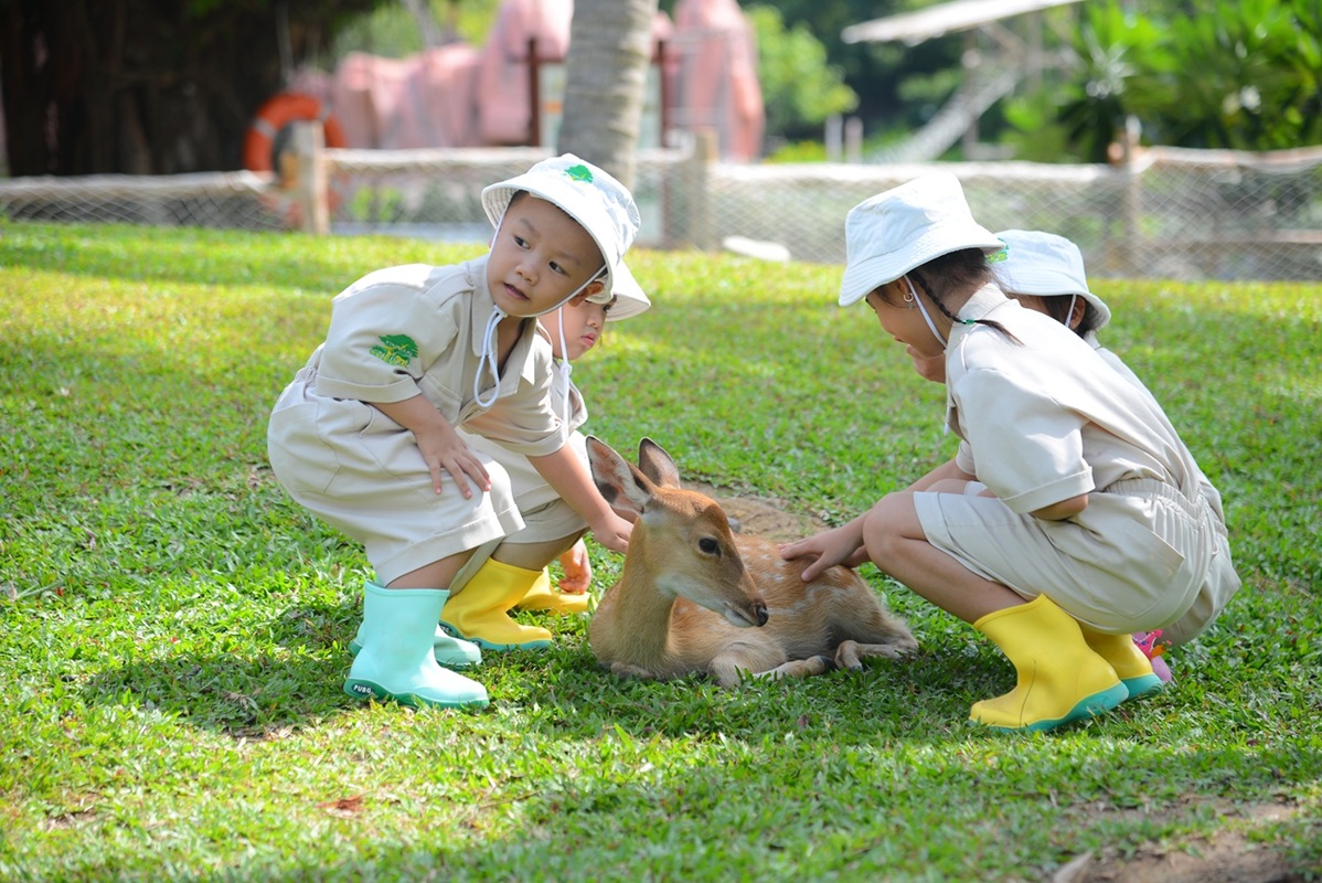 “Hè rực rỡ - Vui bất ngờ” - bùng nổ không khí hội hè tại Vinpearl và VinWonders khắp cả nước- Ảnh 5.