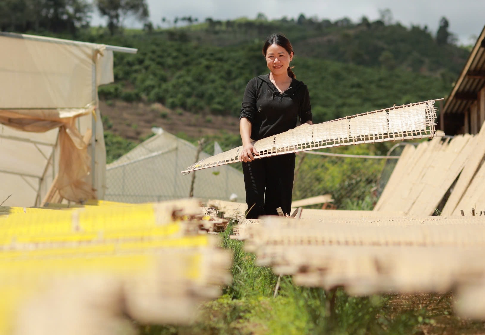 Bánh tráng Làng Tày, sầu riêng, dứa mật Đam Rông thành đặc sản của Lâm Đồng- Ảnh 1.