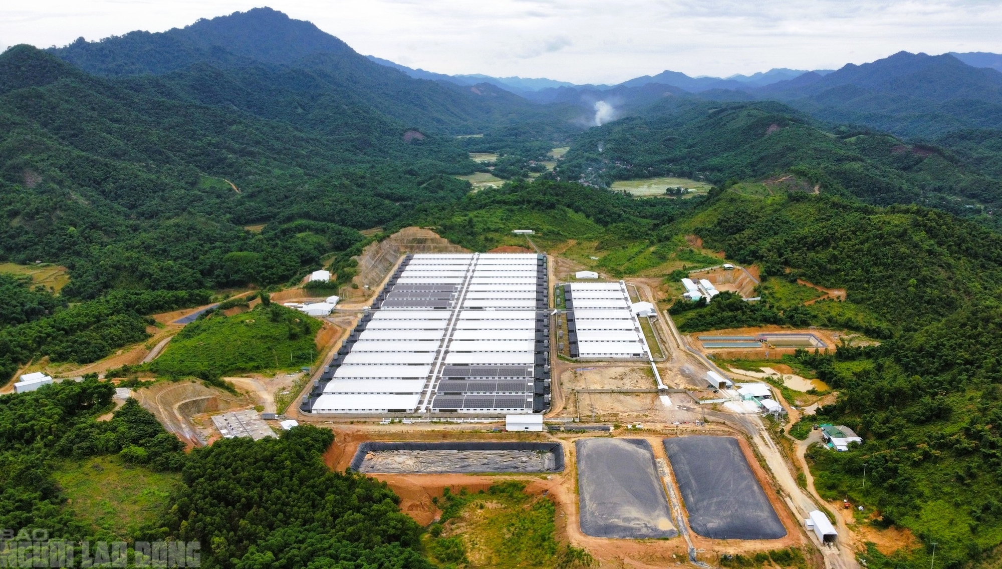 Vừa hoạt động trở lại, trại heo công suất 60.000 con/năm lại gây mùi hôi thối- Ảnh 1.