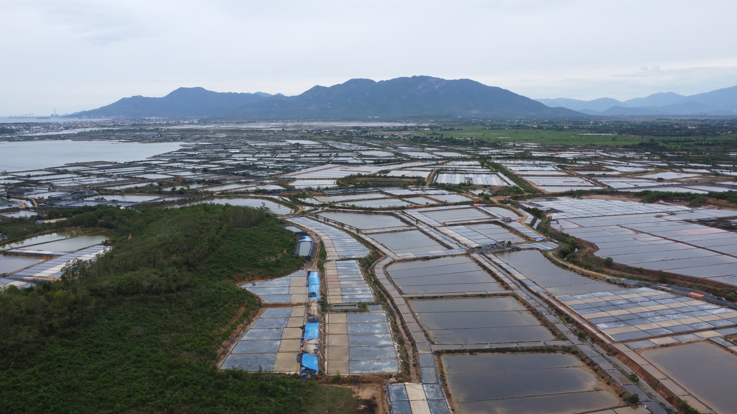 Thu hồi đất giá thấp để doanh nghiệp làm khu công nghiệp, diêm dân khiếu nại- Ảnh 1.