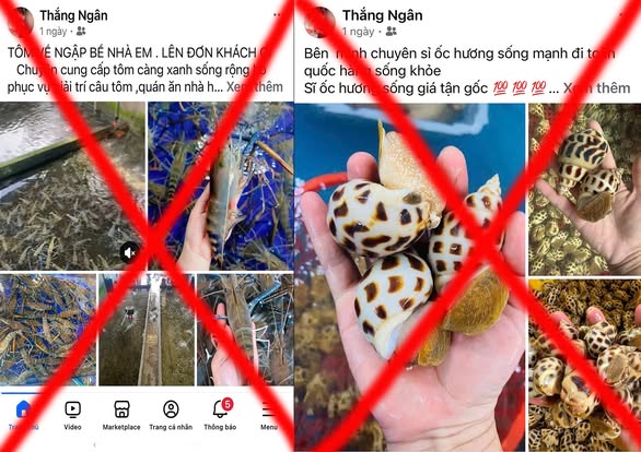 Bắt chủ tài khoản “Ngân Hải Sản” và "Thắng Ngân" - Ảnh 2.
