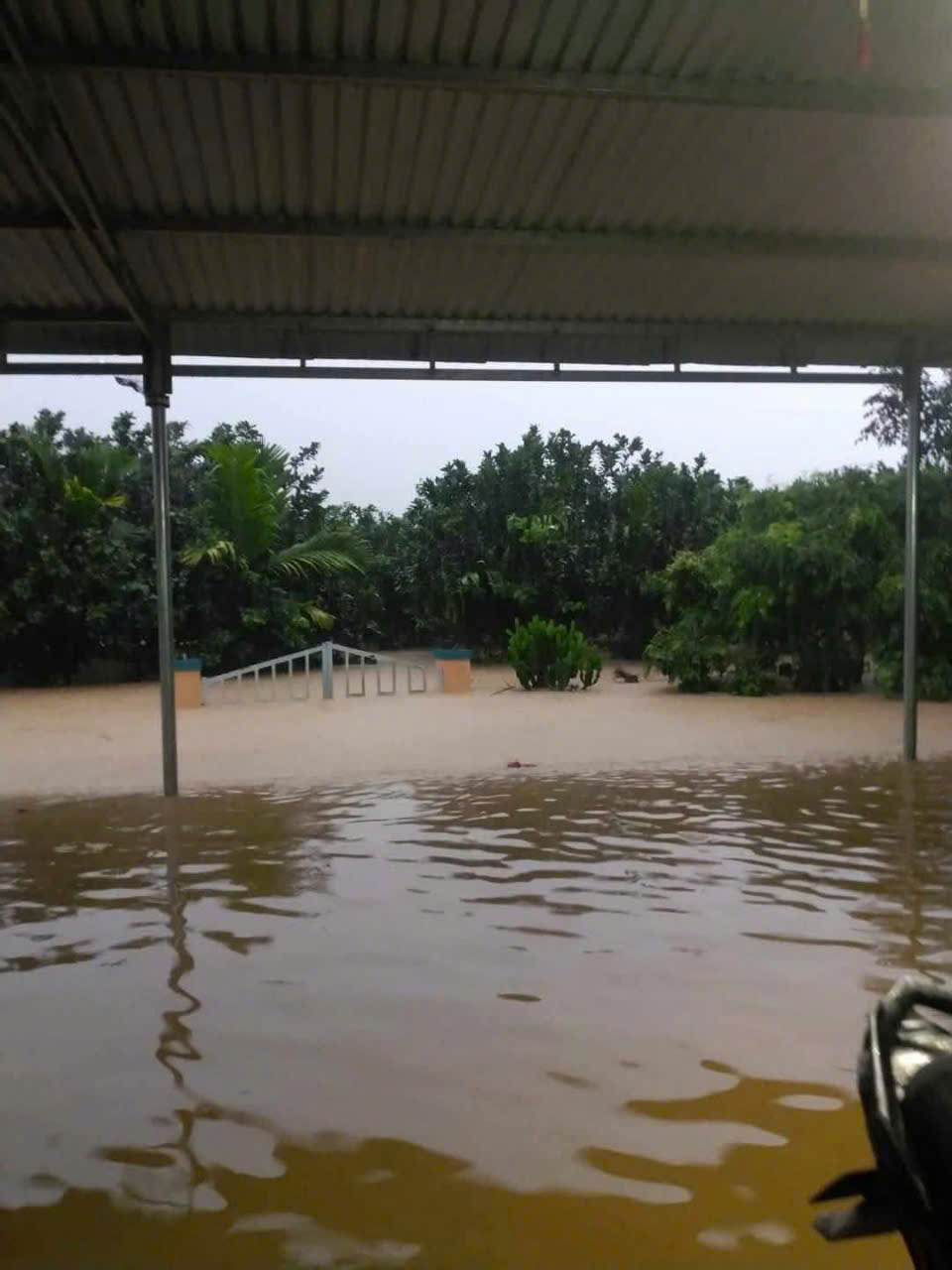 Bão số 1 gây mưa lớn, nước tràn vào nhà dân ở Quảng Nam - Ảnh 5.