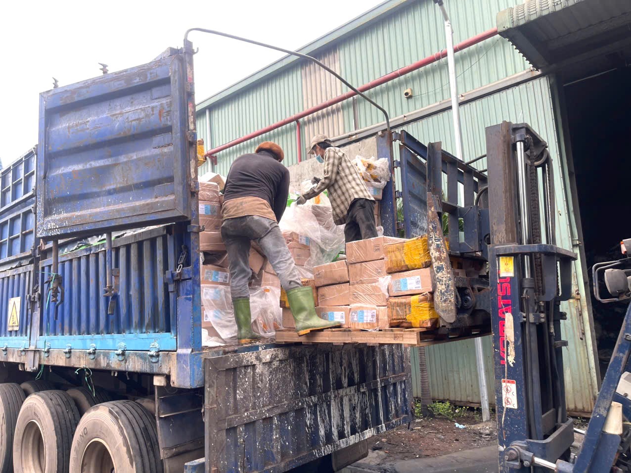 H&igrave;nh ảnh hơn 30 tấn v&uacute; heo, dồi trường, g&agrave; ủ muối &ldquo;bẩn&rdquo; của một cơ sở kinh doanh - Ảnh 1.