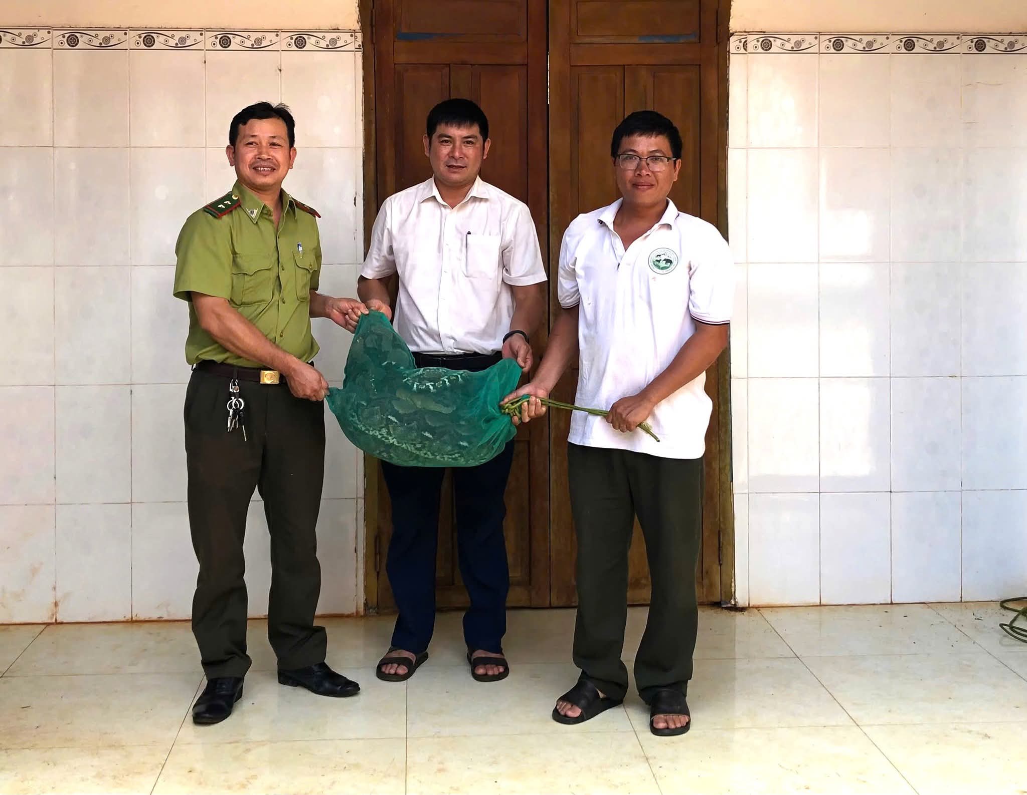 Trăn gấm qu&yacute; hiếm nặng 21kg b&ograve; v&agrave;o nh&agrave; d&acirc;n trong đ&ecirc;m- Ảnh 1.