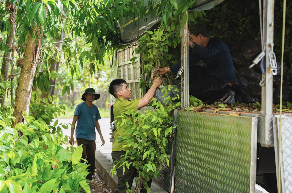 H&agrave;nh tr&igrave;nh phủ xanh 5 c&aacute;nh rừng của doanh nghiệp trẻ- Ảnh 2.