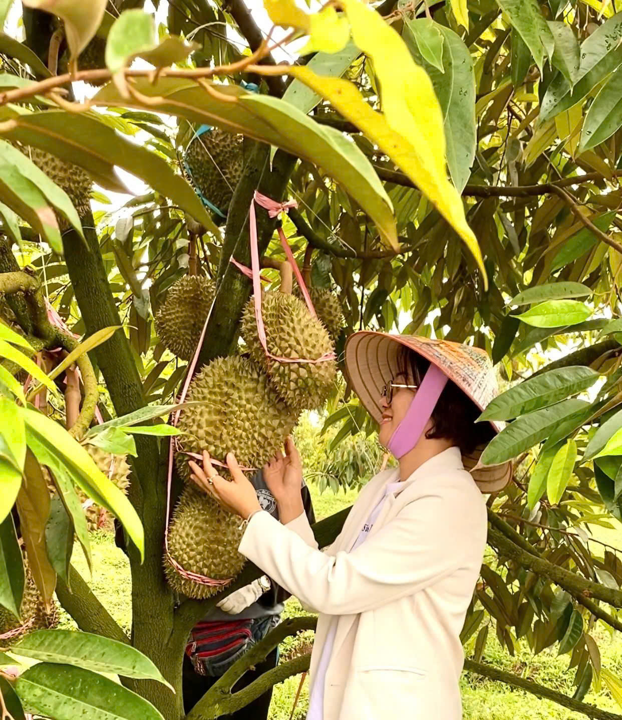 HAGL tuyển gấp 100 kỹ thuật vi&ecirc;n sầu ri&ecirc;ng với nhiều đ&atilde;i ngộ hấp dẫn- Ảnh 2.