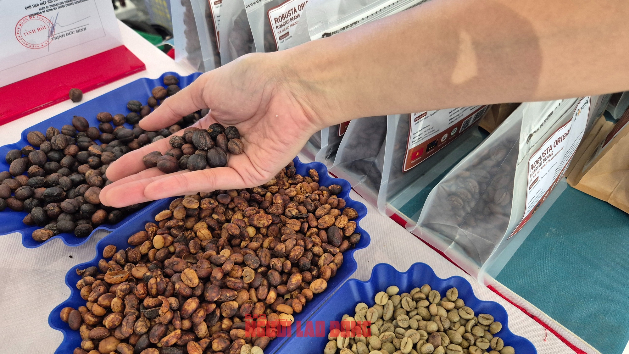Giá cà phê hôm nay 18-6: Tiếp tục giảm sâu, sắp mất mốc 110.000 đồng/kg- Ảnh 1.