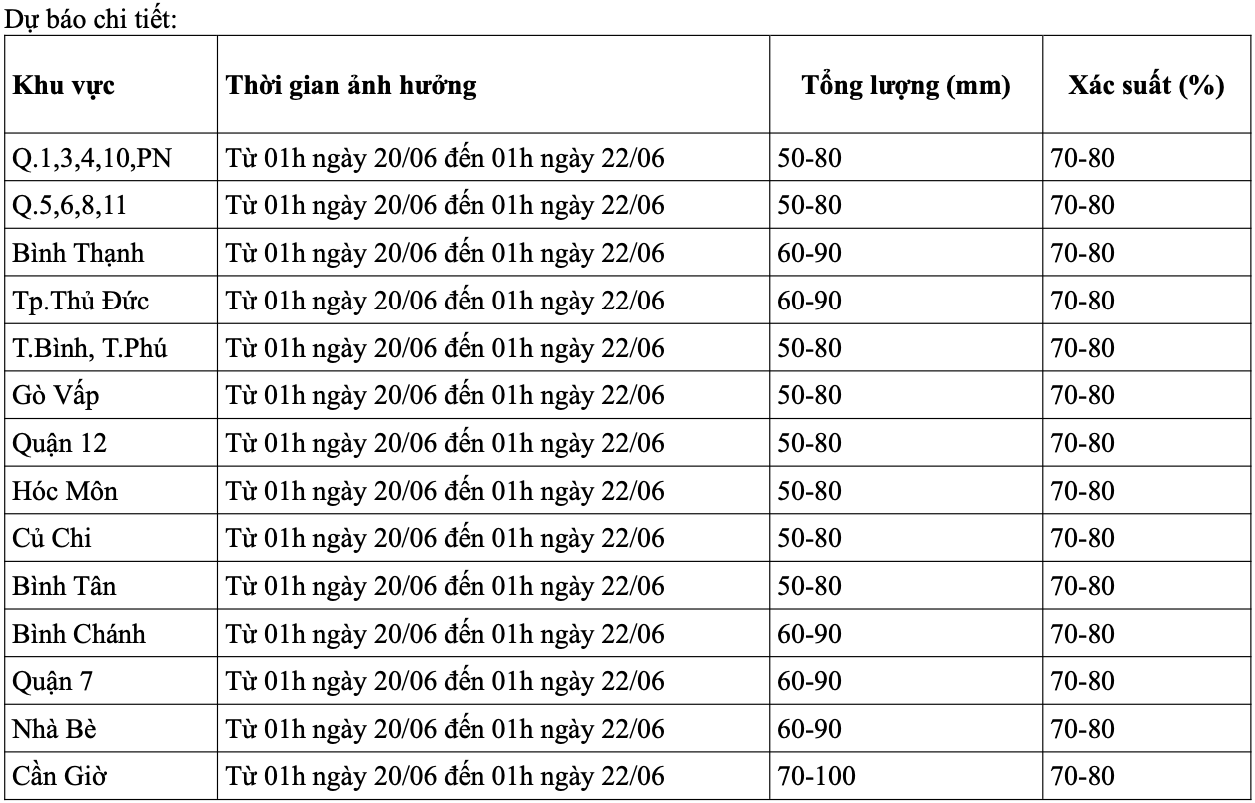 TP HCM bước vào đợt mưa dông diện rộng kéo dài- Ảnh 5.