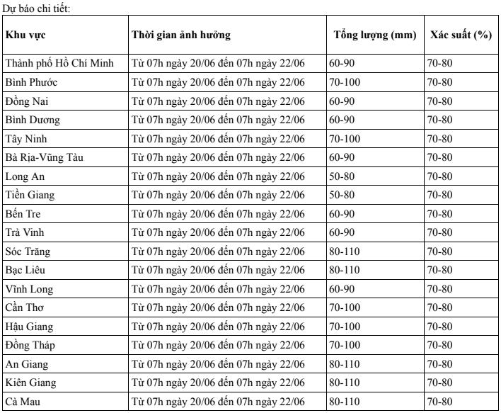 TP HCM bước vào đợt mưa dông diện rộng kéo dài- Ảnh 4.