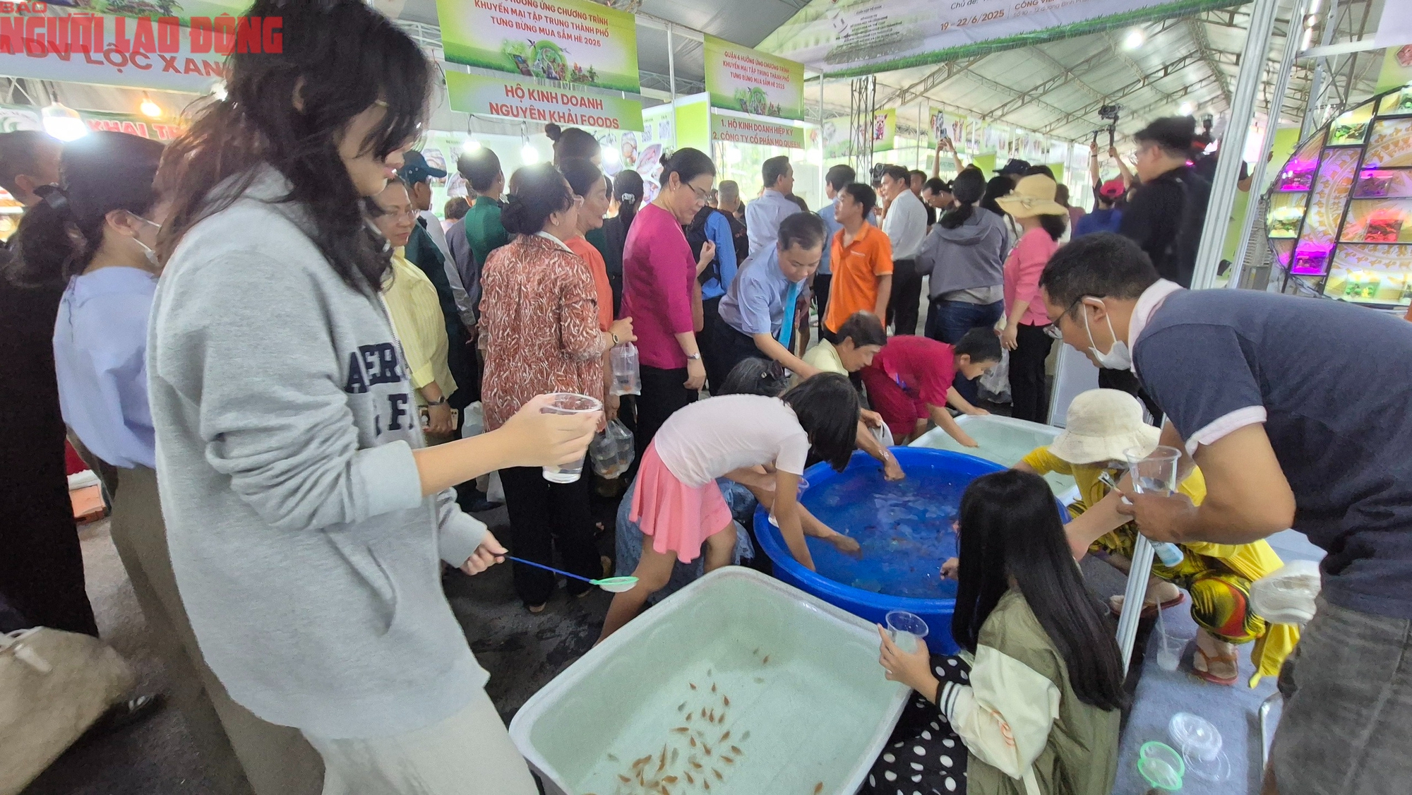 Bất ngờ với cây, con giống độc lạ - Ảnh 2.