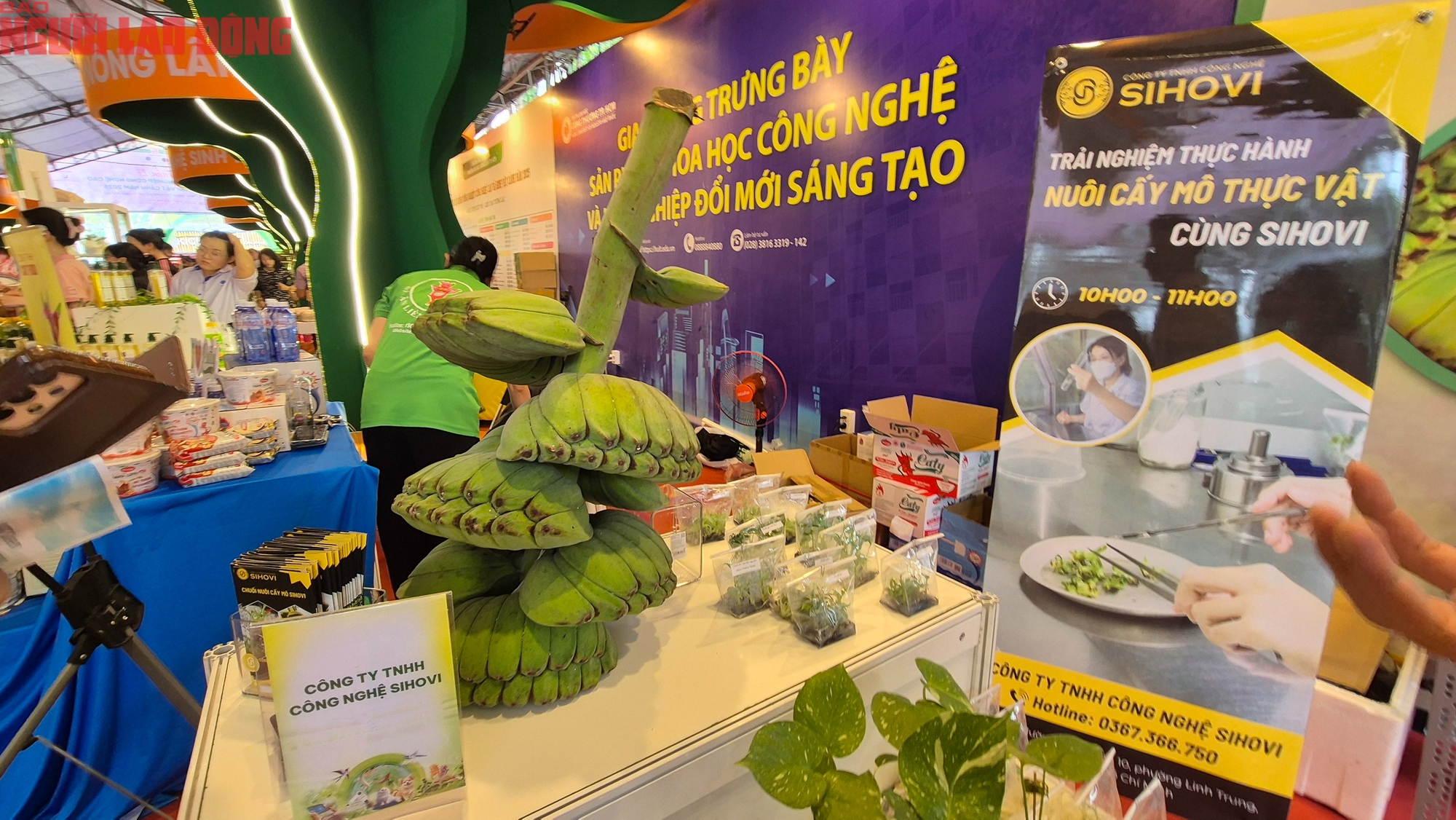 Bất ngờ với cây, con giống độc lạ - Ảnh 9.