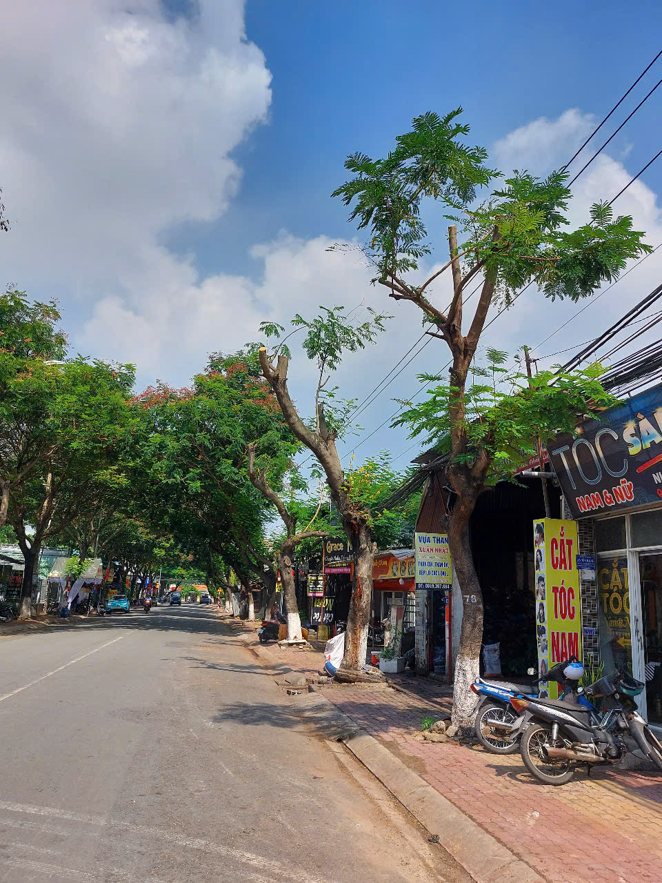 Hình ảnh hàng cây bị đốn hạ, cắt tỉa trơ trụi trên đường phố Dĩ An, Bình Dương- Ảnh 3.