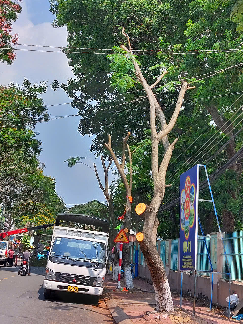 Hình ảnh hàng cây bị đốn hạ, cắt tỉa trơ trụi trên đường phố Dĩ An, Bình Dương- Ảnh 4.