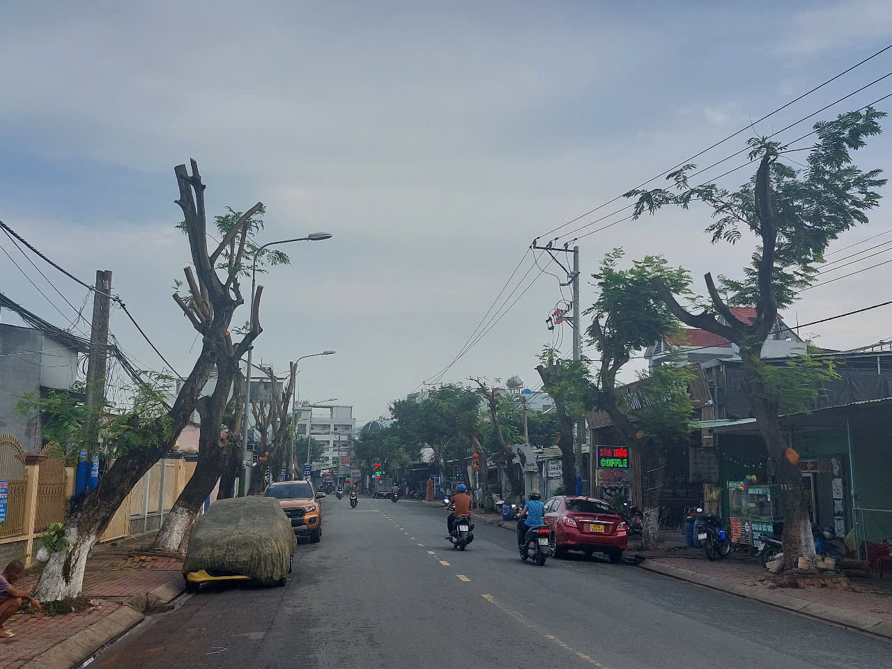 Hình ảnh hàng cây bị đốn hạ, cắt tỉa trơ trụi trên đường phố Dĩ An, Bình Dương- Ảnh 6.