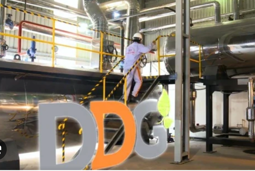 V&igrave; sao 2 doanh nghiệp bị xử phạt hơn 600 triệu đồng - Ảnh 1.