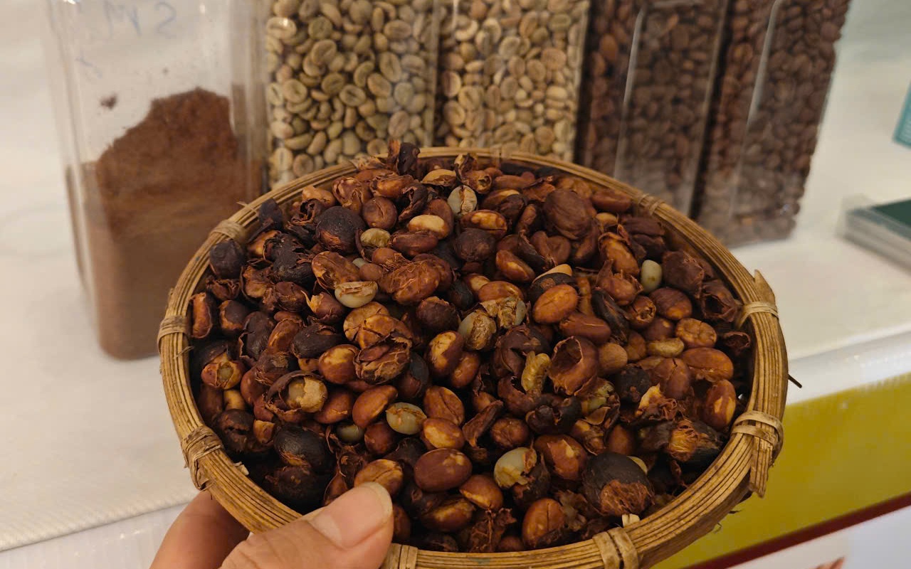 
Giá cà phê hôm nay 21-6: Tụt dốc đến khó tin

