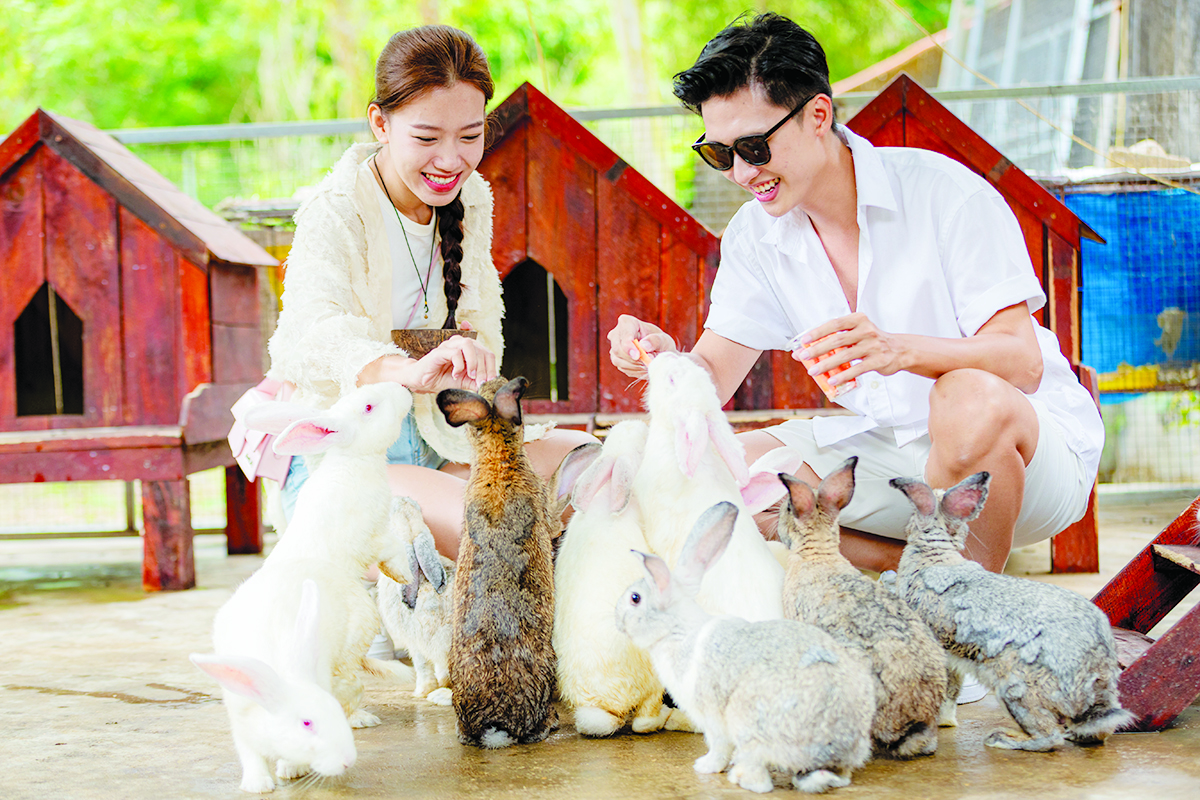 Yang Bay &ndash; H&agrave;nh tr&igrave;nh t&igrave;m về với thi&ecirc;n nhi&ecirc;n- Ảnh 2.