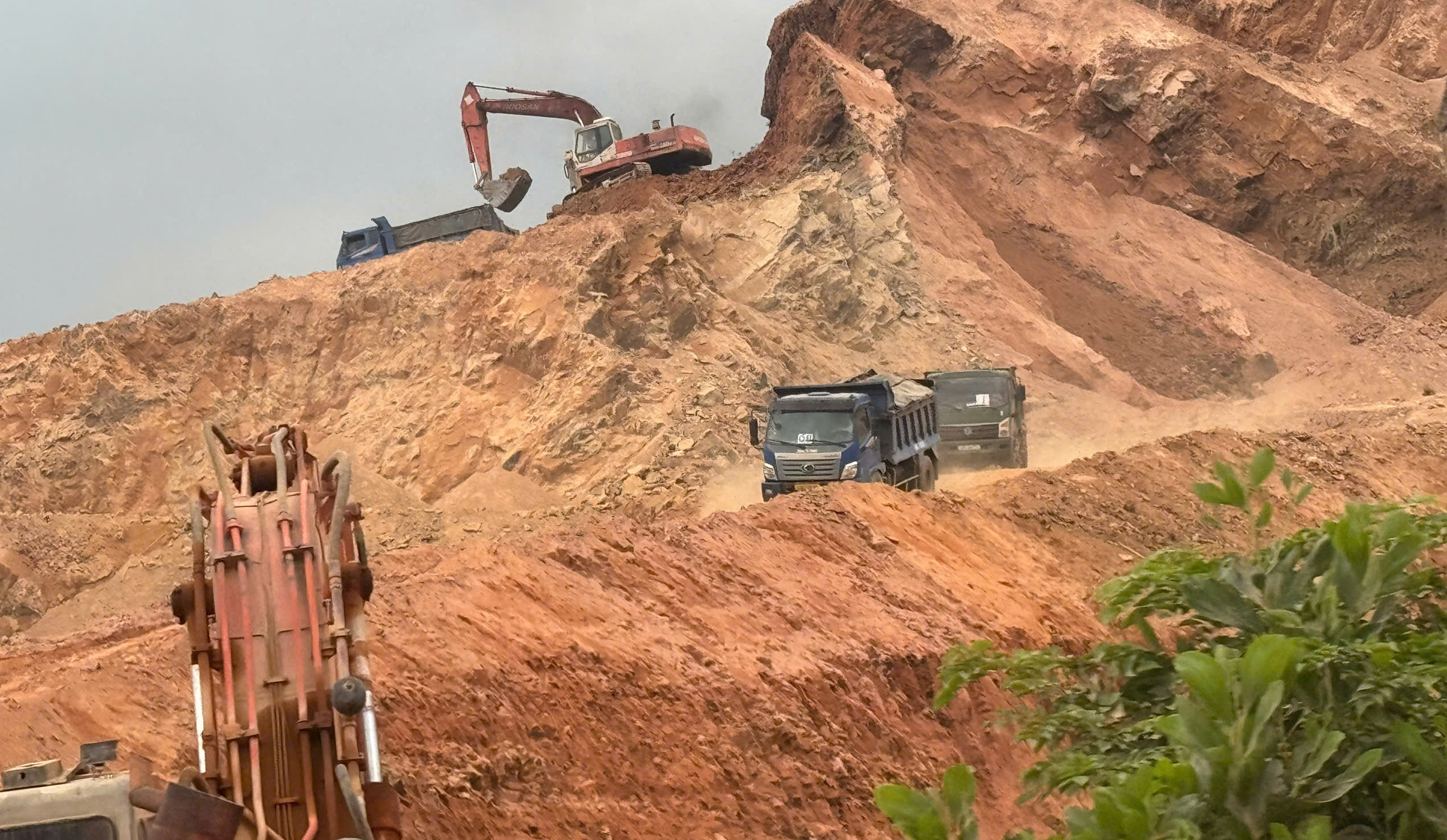 Đà Nẵng đề xuất chuyển đổi hơn 9,5 ha đất rừng để khai thác đất san lấp- Ảnh 1.