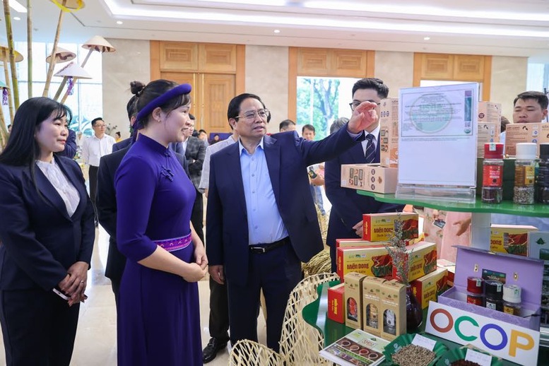 Thủ tướng mong nông dân tiên phong thoát nghèo, thi đua làm giàu
- Ảnh 1.