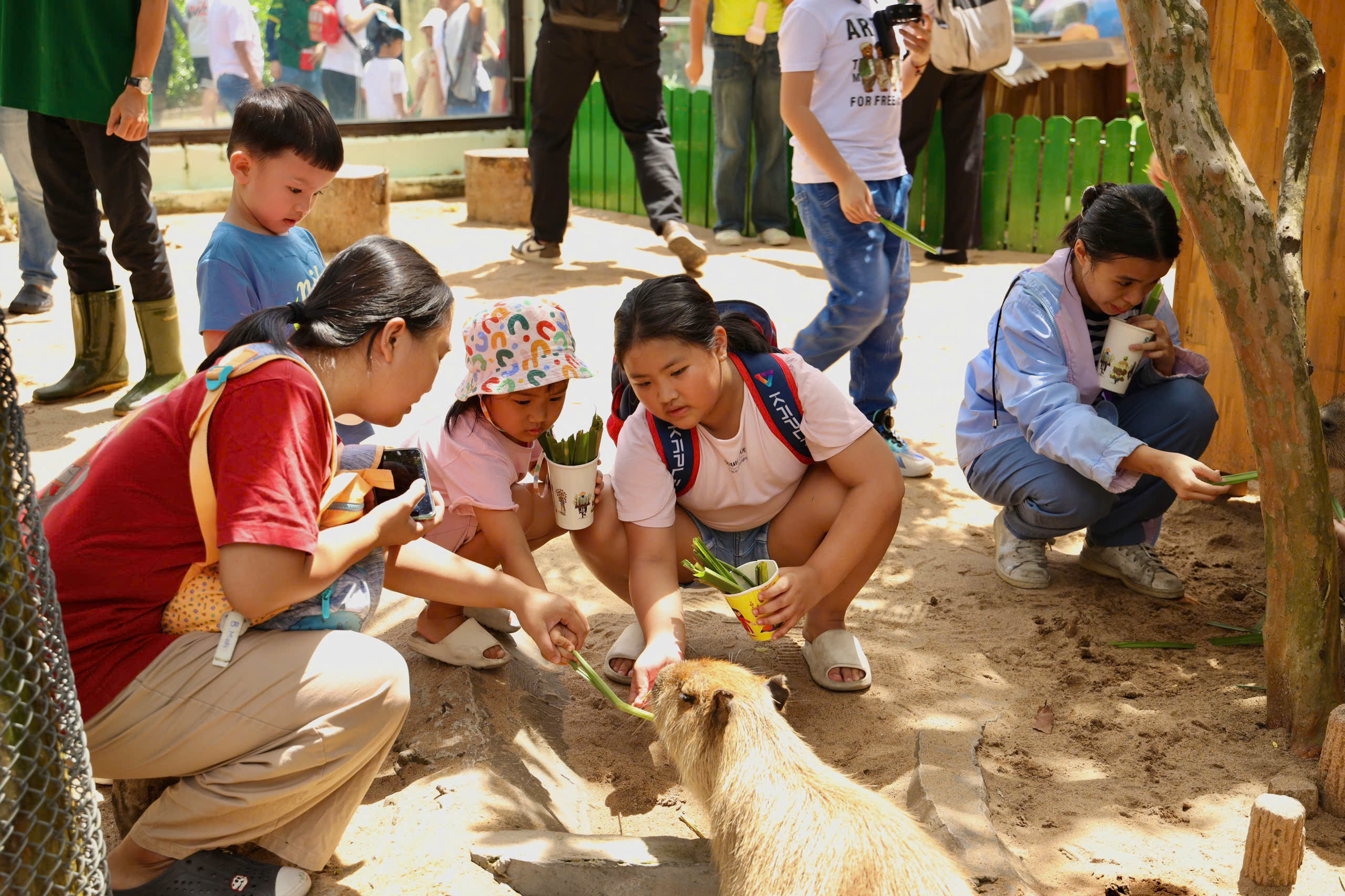 Lạc vào thế giới của Capybara, Meerkat và những “tân binh” siêu dễ thương tại Thảo Cầm Viên- Ảnh 1.
