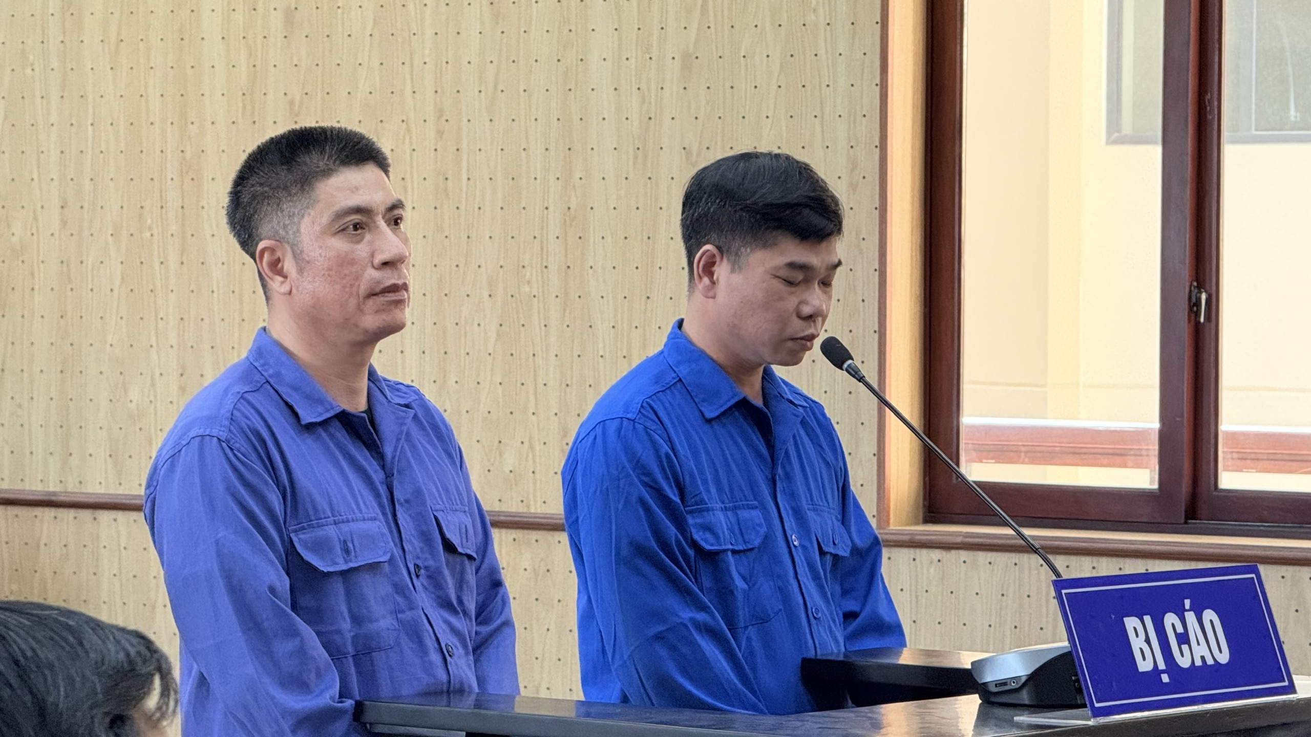 Mượn 50 bộ hồ sơ đất đai để l&agrave;m giả chiếm 15 thửa đất c&ocirc;ng - Ảnh 1.