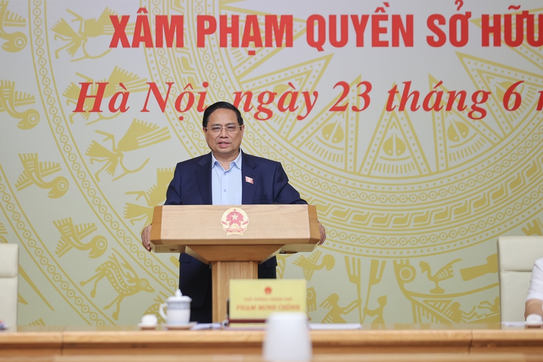 Thủ tướng: Tuyên chiến với hàng giả, mỗi ngày đều là cao điểm- Ảnh 1.