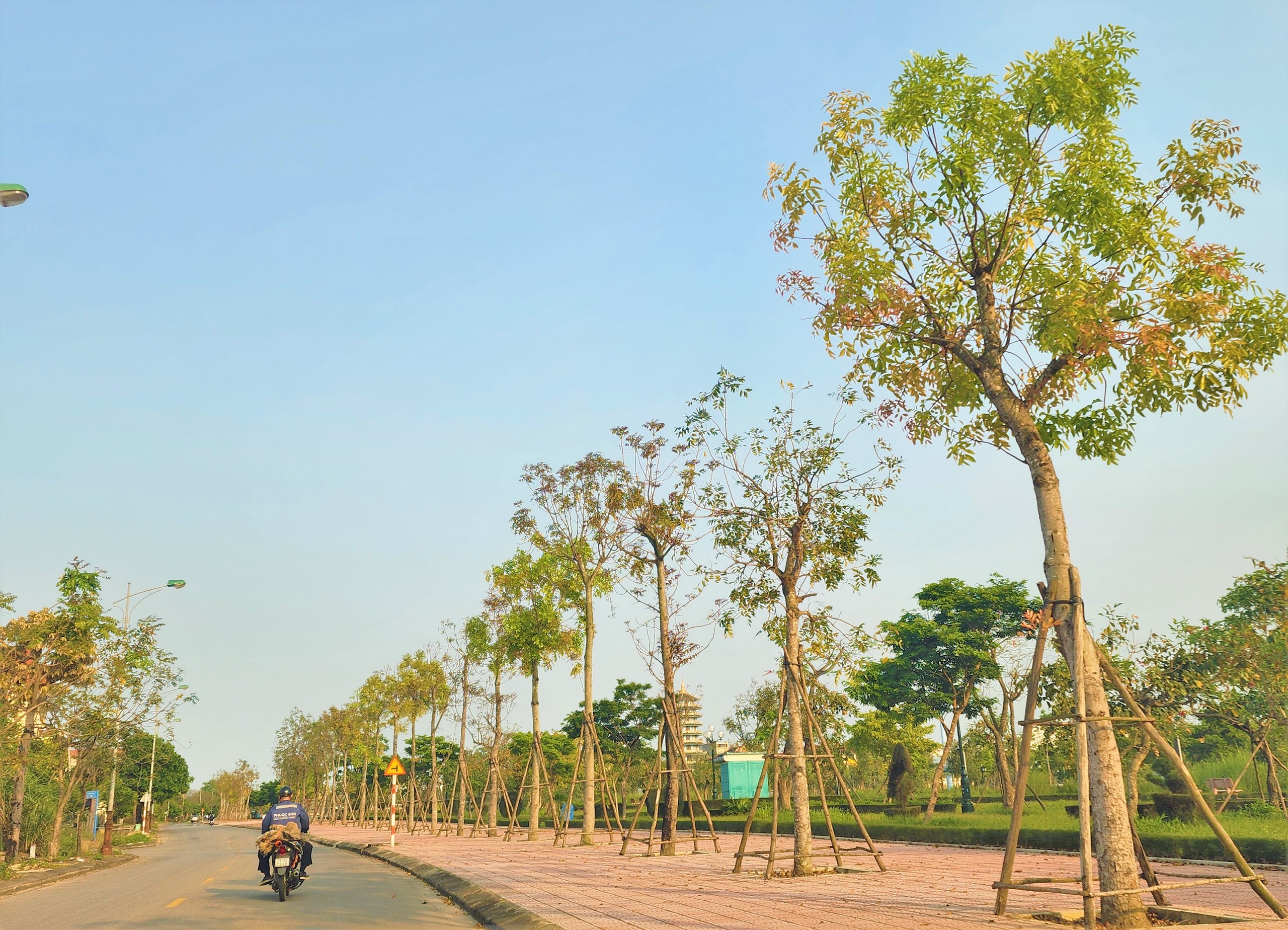 Quảng B&igrave;nh: C&aacute;n bộ bị kỷ luật từ 2020 đến nay sẽ kh&ocirc;ng được bổ nhiệm cao hơn - Ảnh 1.