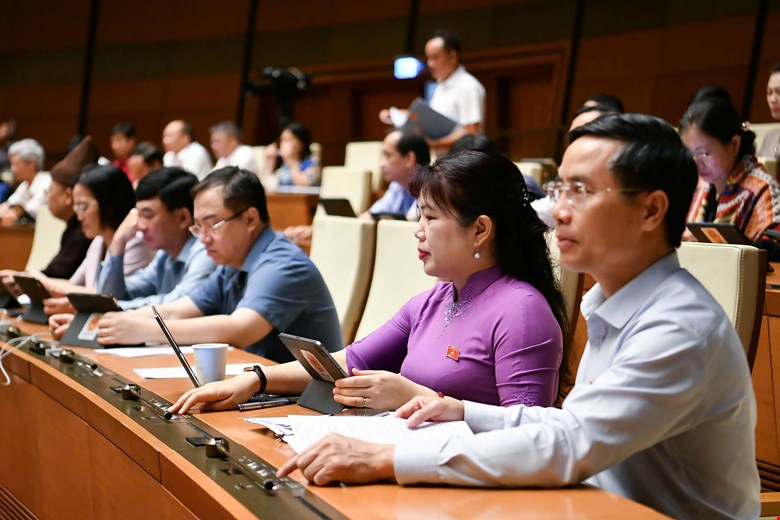 Người được bổ nhiệm trong cơ quan Nh&agrave; nước "chỉ c&oacute; một quốc tịch Việt Nam"- Ảnh 1.