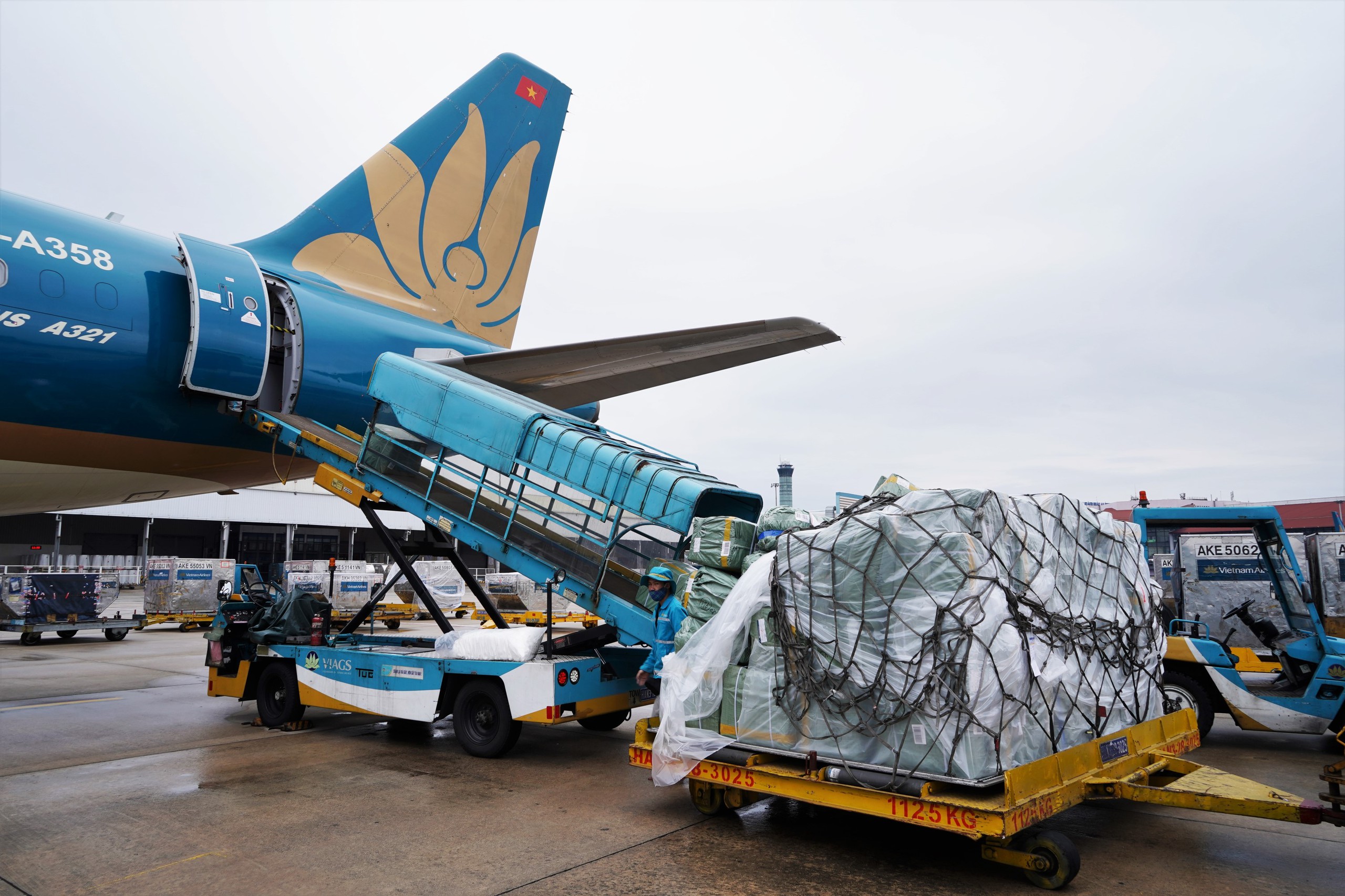 Vietnam Airlines lên kế hoạch thành lập hãng hàng không vận tải hàng hóa - Báo Người Lao Động