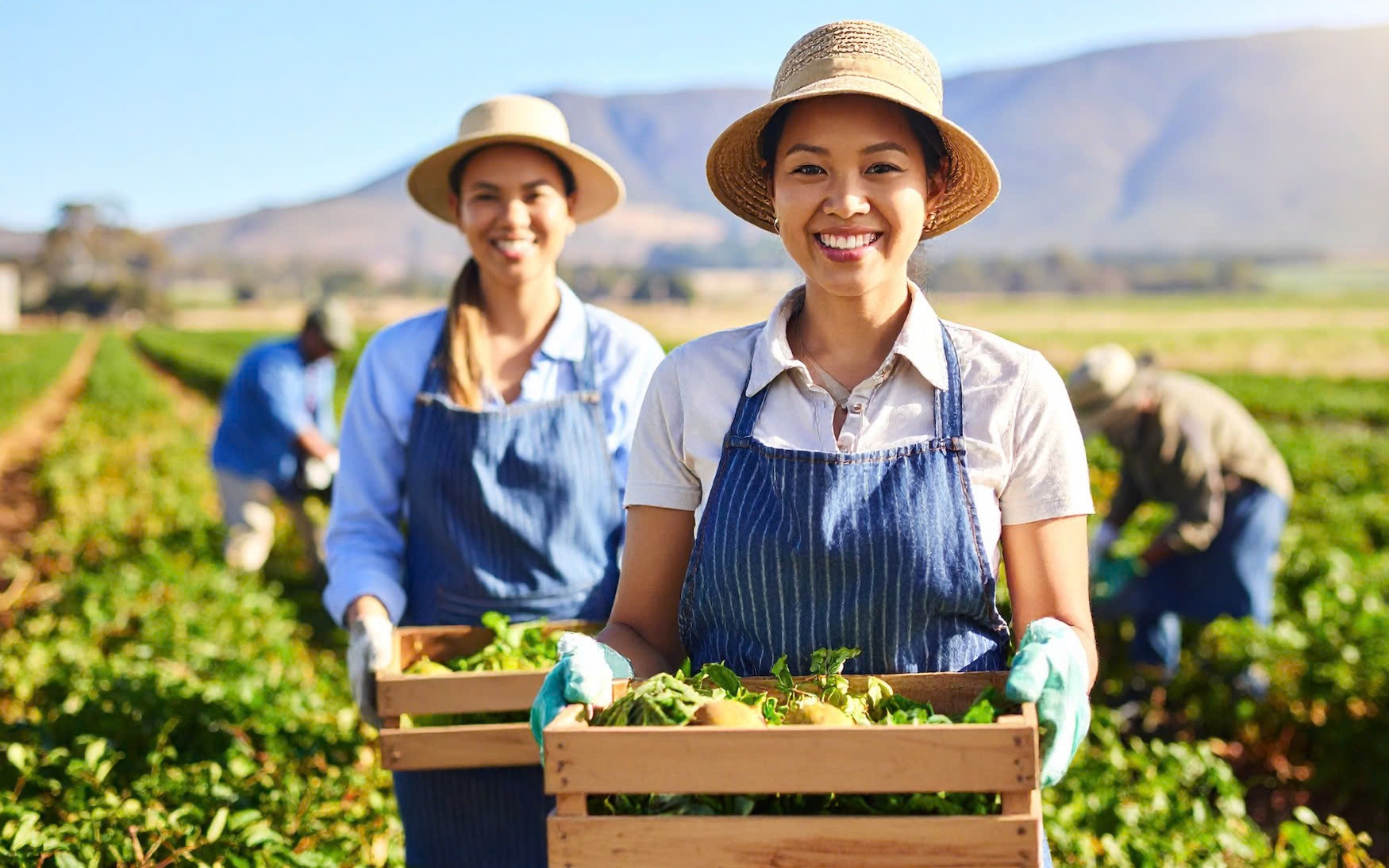 Sốt ruột với chương trình sang Úc làm nông