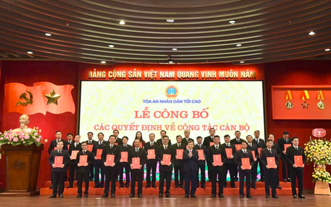 Bổ nhiệm 29 Chánh tòa, Chánh án các tỉnh thành mới