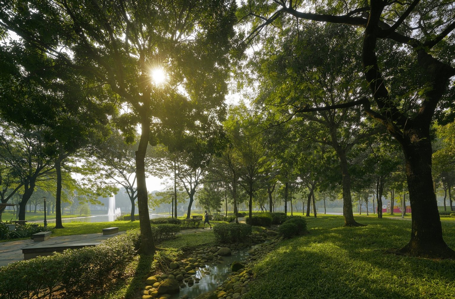 Gamuda Land: Dựng x&acirc;y tương lai bền vững từ nền m&oacute;ng xanh- Ảnh 1.