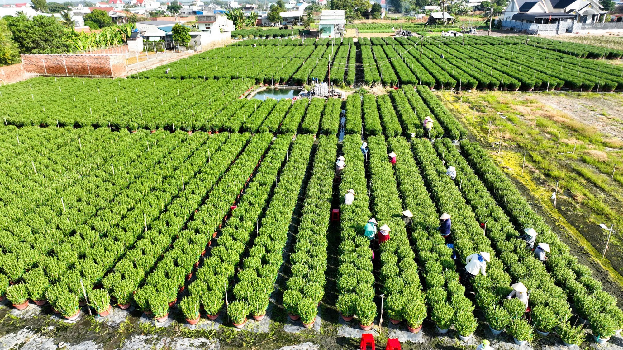 Bứt phá trong xây dựng nông thôn mới ở Bà Rịa - Vũng Tàu- Ảnh 2.
