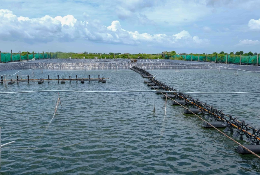Địa hạt năng lượng &ndash; lương thực chủ lực của Việt Nam trong tương lai- Ảnh 1.