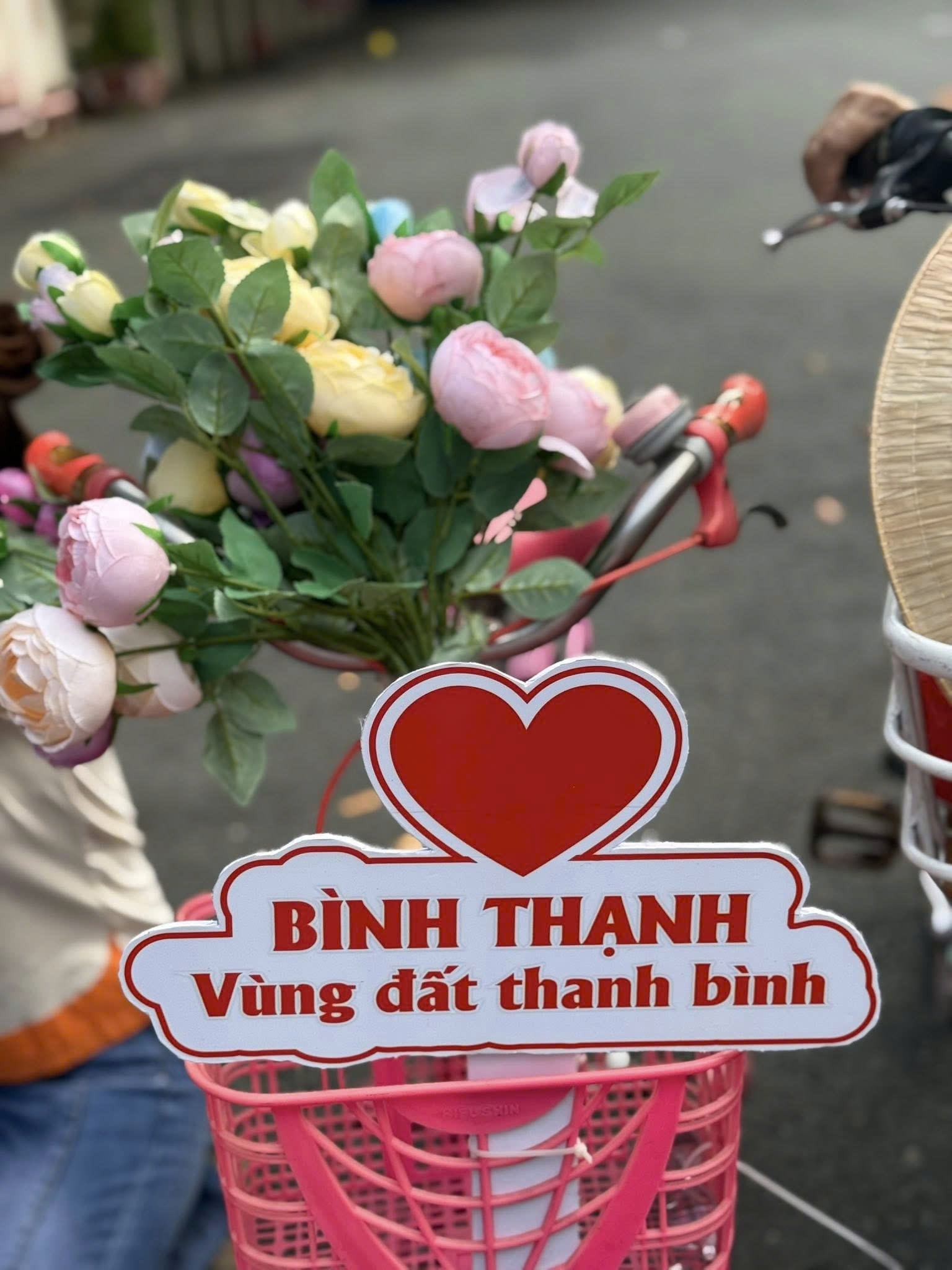 Người dân ở TP HCM phấn khởi đón chờ sự kiện trọng đại- Ảnh 11.