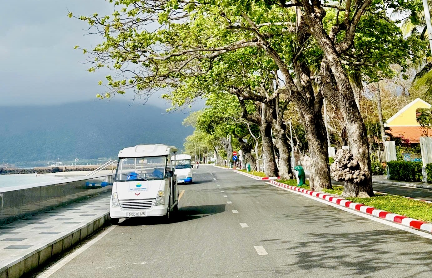 Con Dao works toward greener tourism- Ảnh 1.