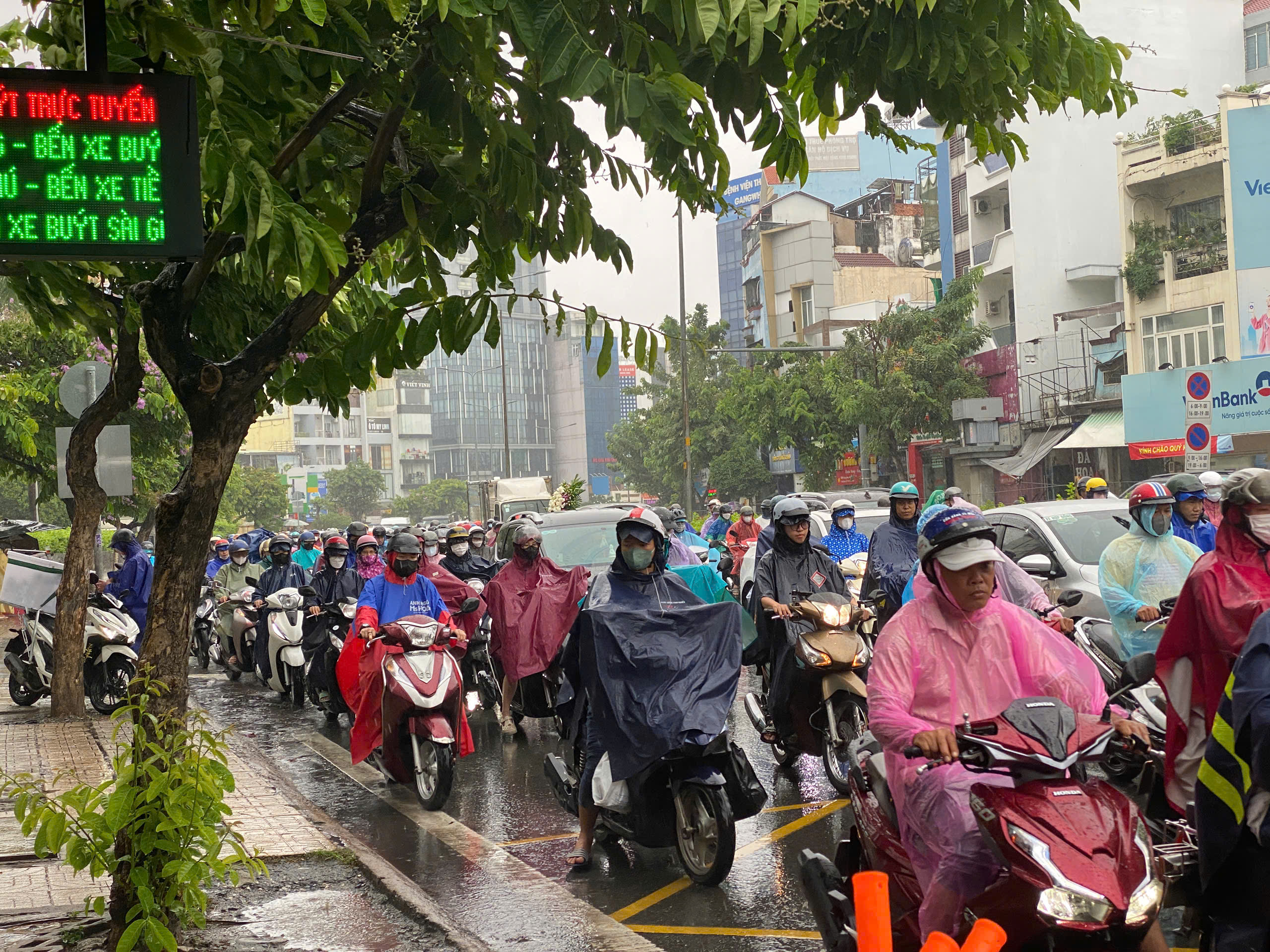 TP HCM: Gió rít mạnh, mưa như trút nước - Ảnh 4.
