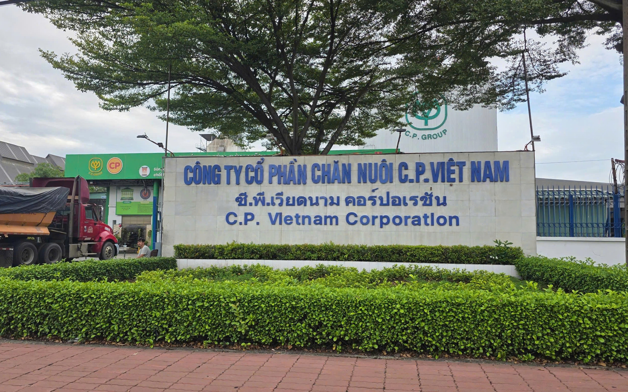 Vụ Công ty CP Chăn nuôi C.P. Việt Nam bị tố bán heo bệnh: Xem xét chuyển Bộ Công an điều tra