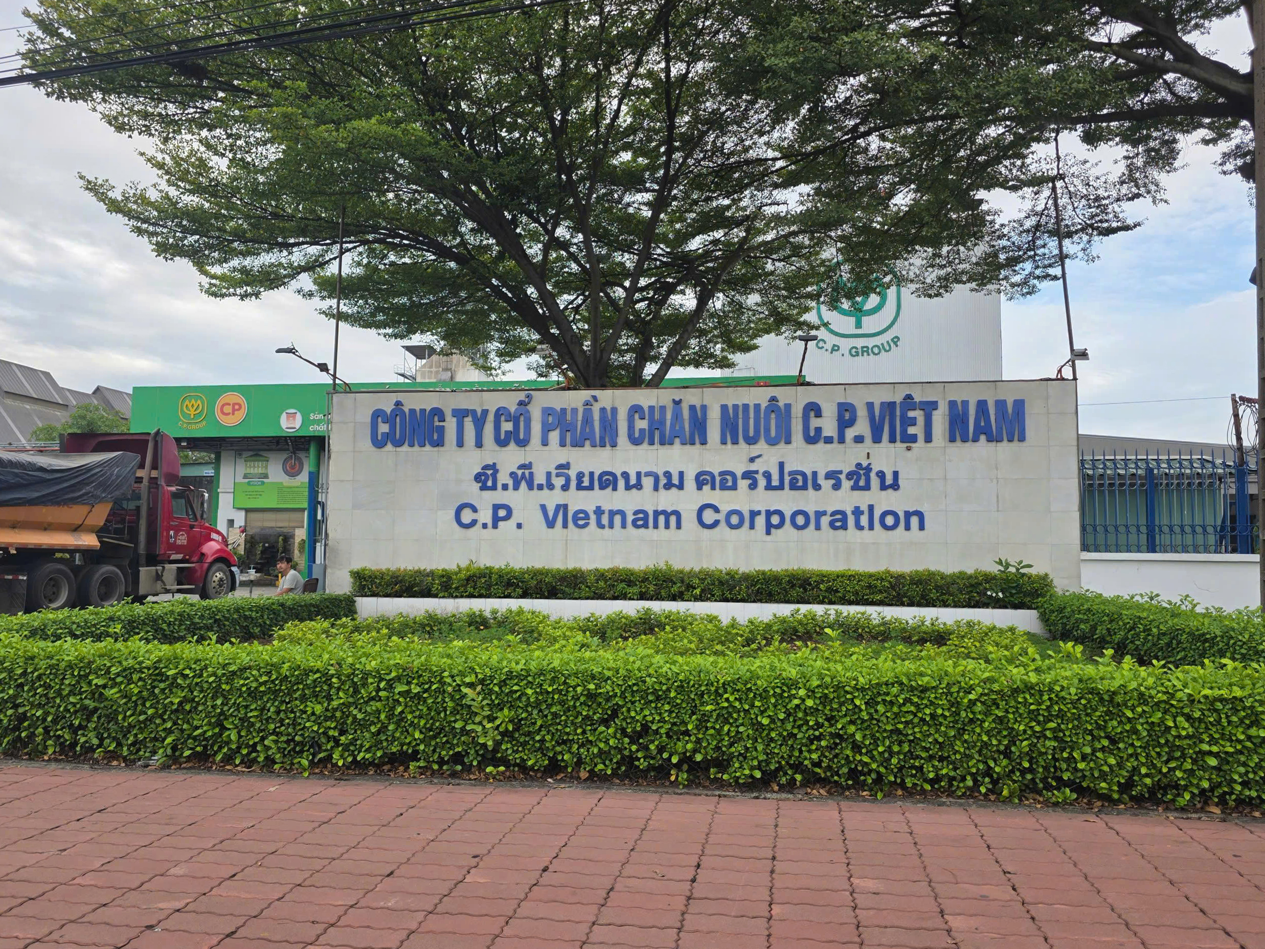 Vụ C&ocirc;ng ty CP Chăn nu&ocirc;i C.P. Việt Nam bị tố b&aacute;n heo bệnh: Xem x&eacute;t chuyển Bộ C&ocirc;ng an điều tra - Ảnh 1.