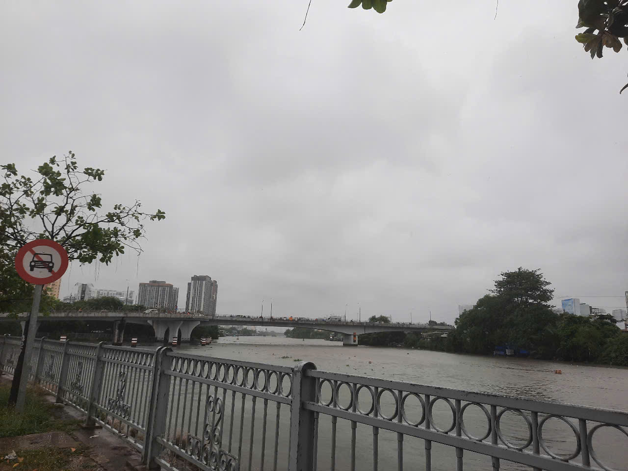 TP HCM: Gió rít mạnh, mưa như trút nước - Ảnh 2.