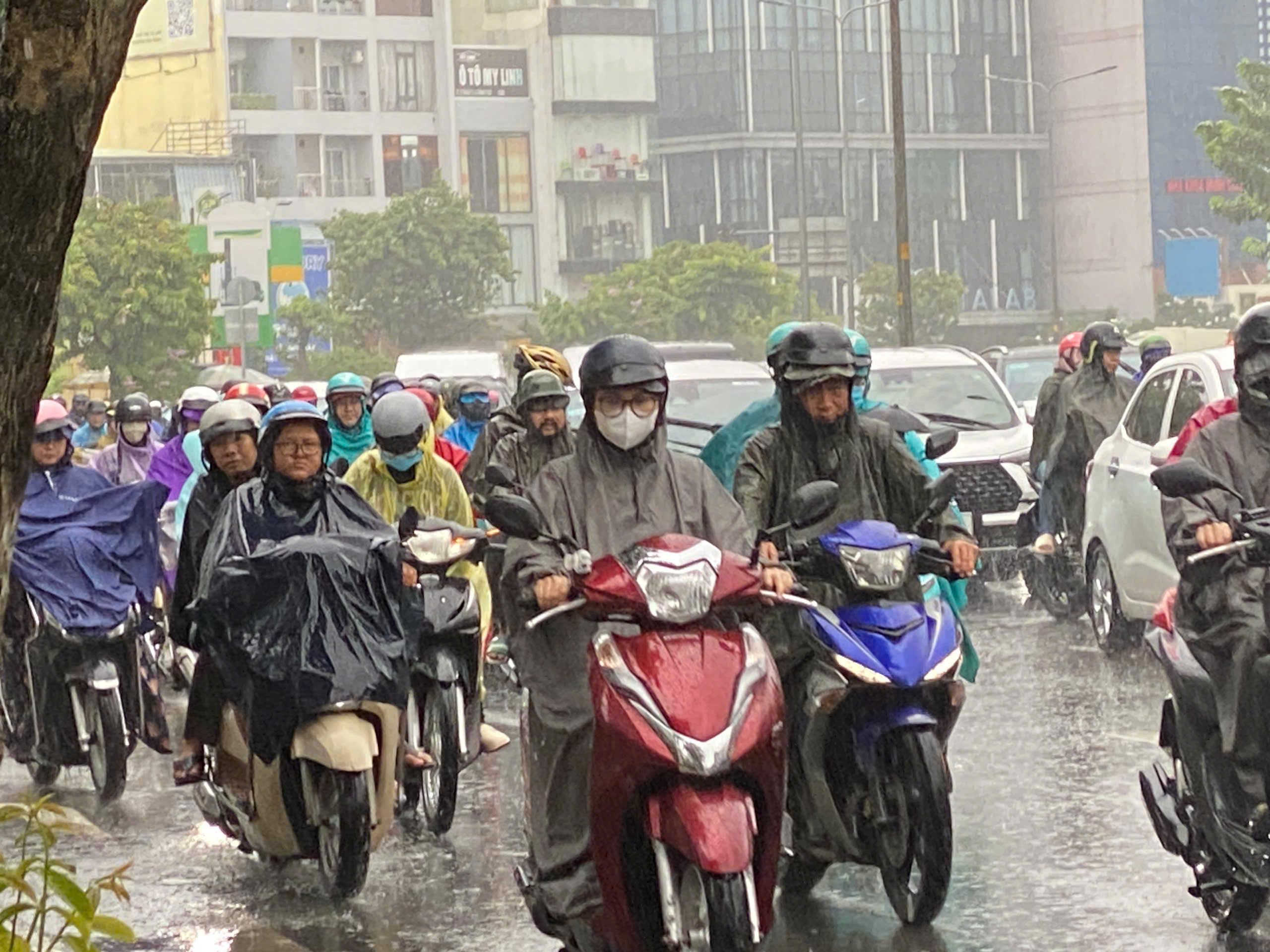 TP HCM: Gió rít mạnh, mưa như trút nước - Ảnh 1.