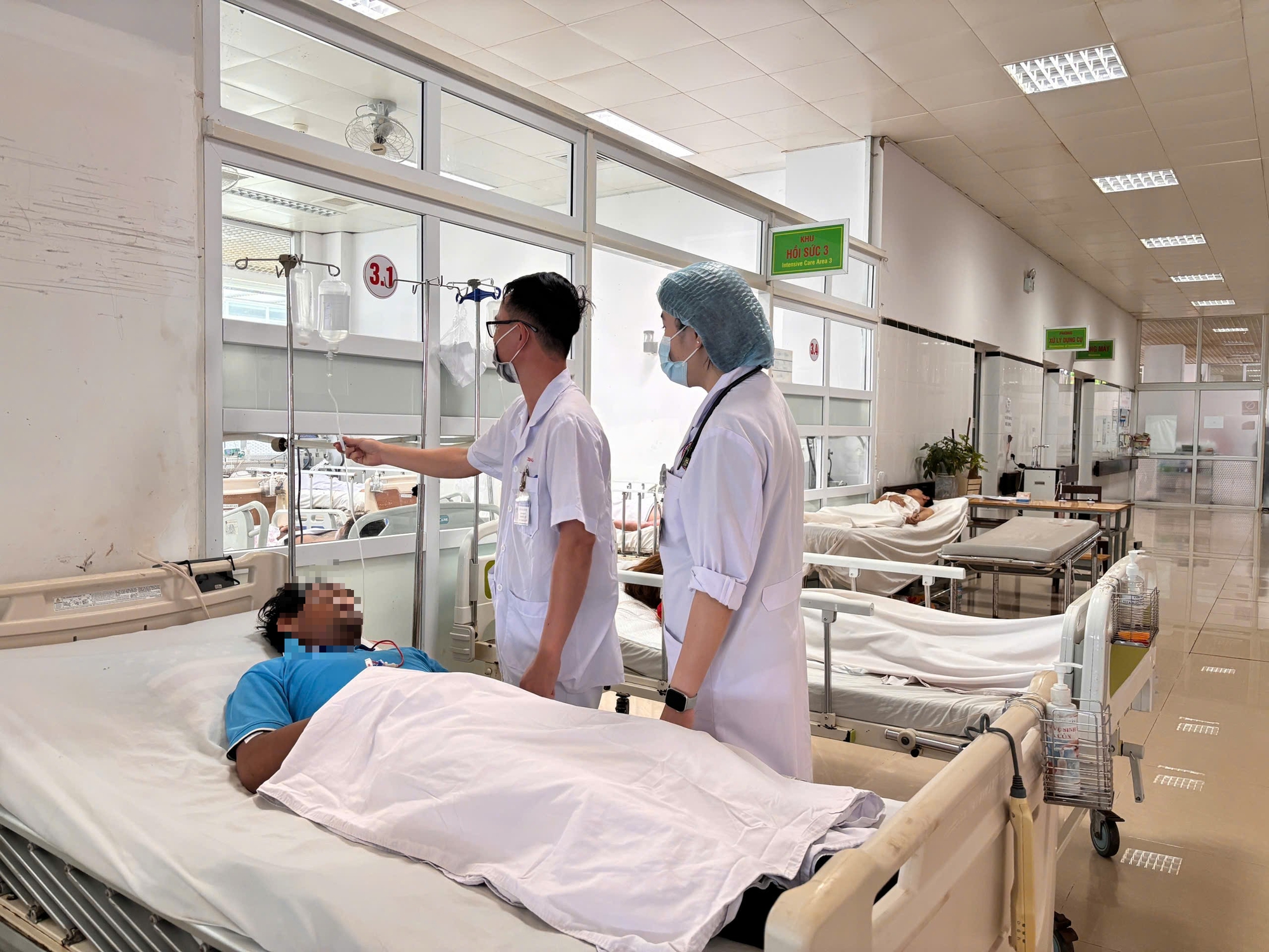 Cấp cứu 8 bệnh nhân nghi do ngộ độc nấm- Ảnh 1.