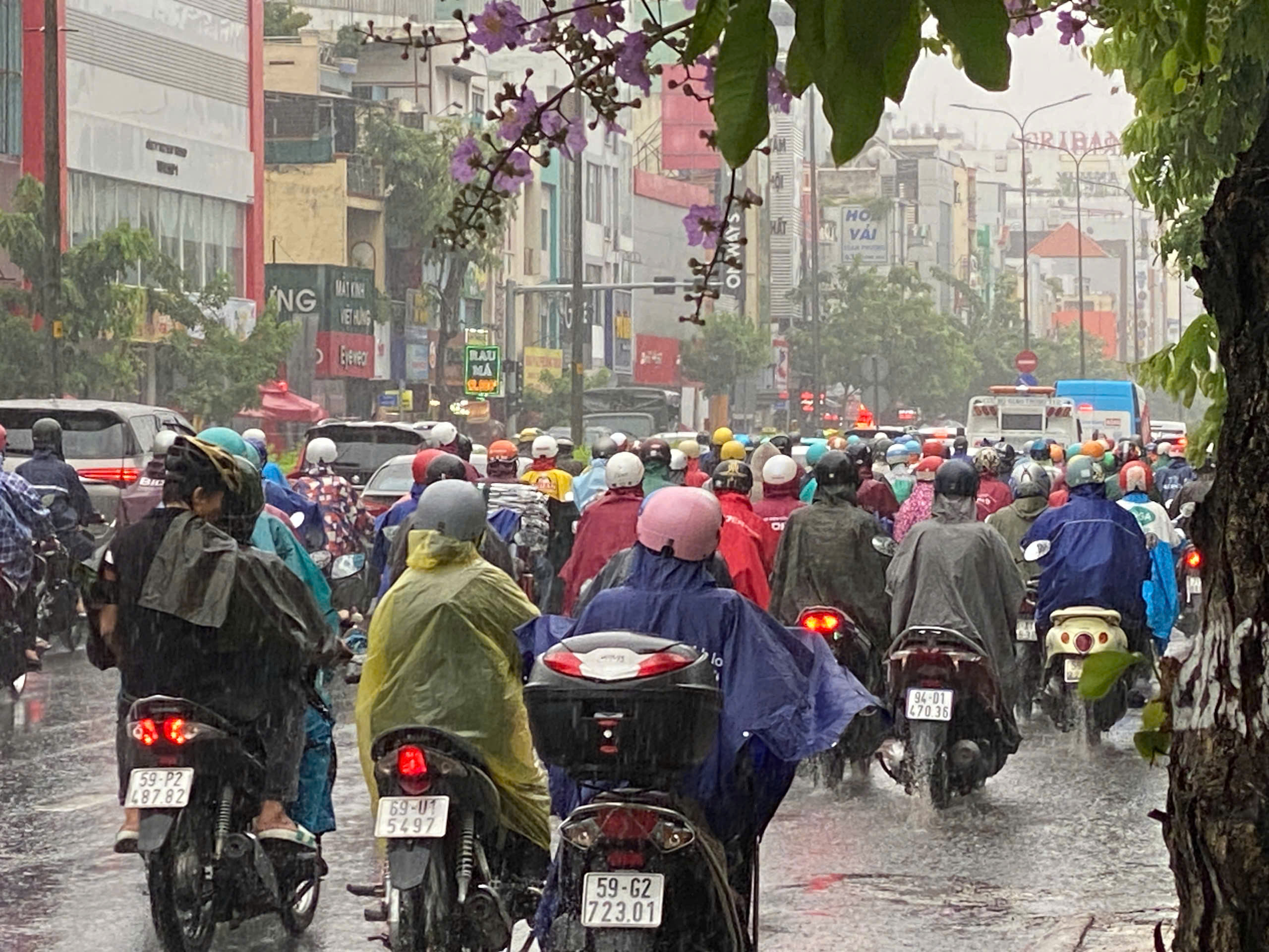 TP HCM: Gió rít mạnh, mưa như trút nước - Ảnh 3.