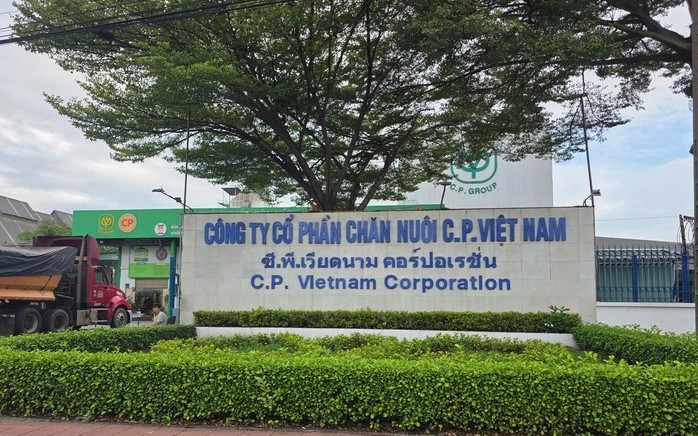 Cam kết mạnh mẽ bằng hành động
