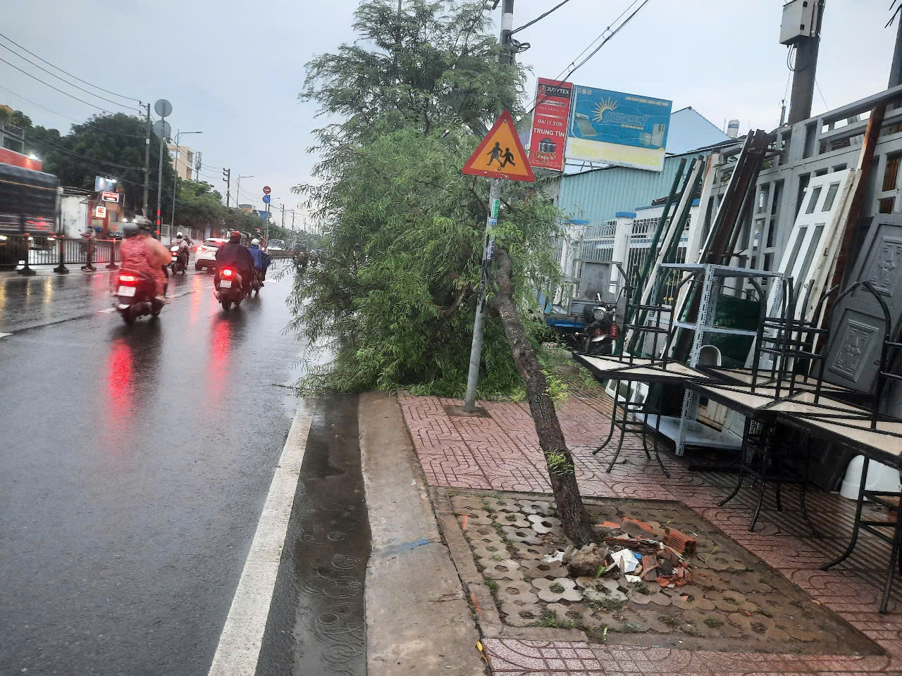 3 c&acirc;y me tr&ecirc;n vỉa h&egrave; xi&ecirc;u vẹo trong mưa d&ocirc;ng ở TP HCM - Ảnh 2.