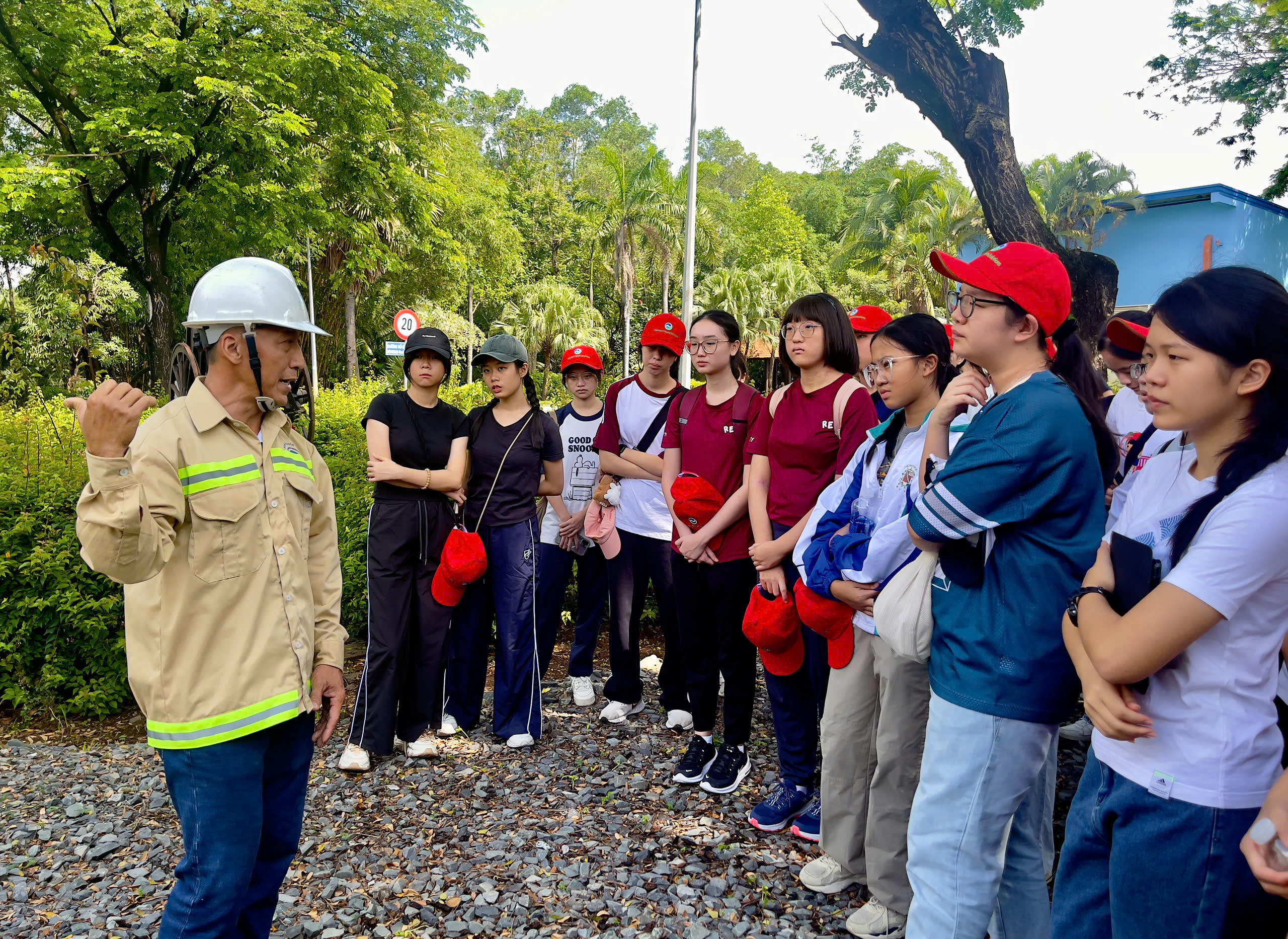 Bài học sống động về môi trường tại VWS- Ảnh 5.